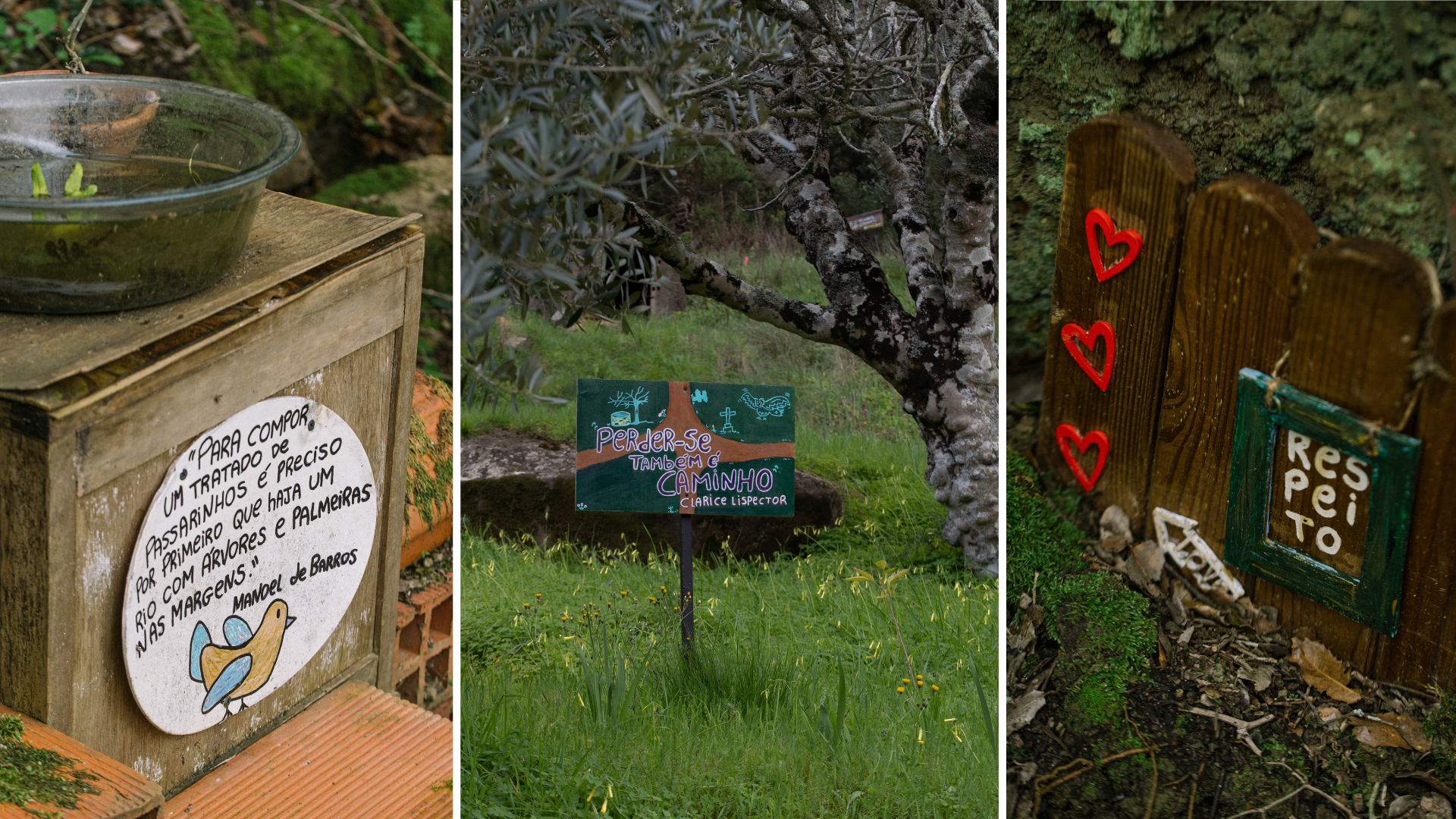 Escola de Escrita e Vivências Poéticas na Quinta Figaradeiro