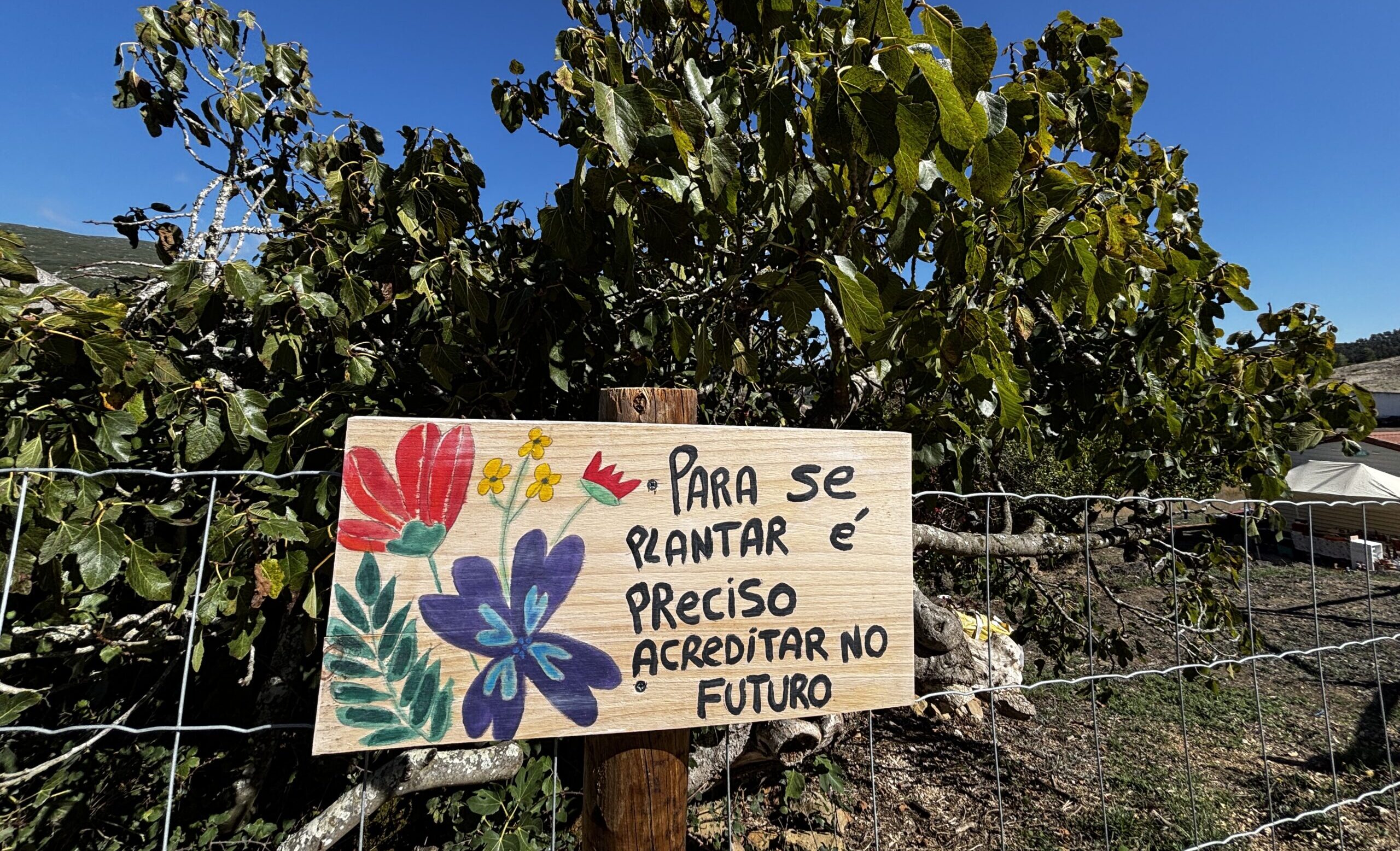Placas Poéticas  - Quinta Figaradeiro