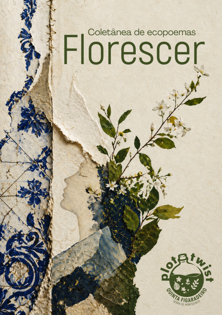 EBook Florescer